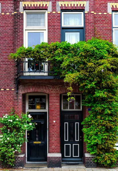 Edifício moderno coberto com hera verde. Países Baixos — Fotografia de Stock