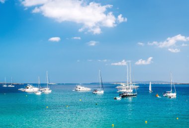 Las Salinas turkuaz bay. Ibiza, Balear Adaları. İspanya