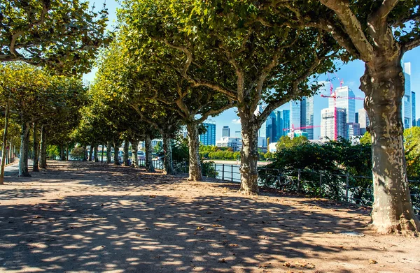 Park gränd med utsikt över Frankfurts centrum. Tyskland — Stockfoto