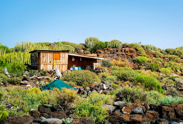 Self-made hovel in a tropics. Photo taken in Tenerife coast — Stock Photo, Image