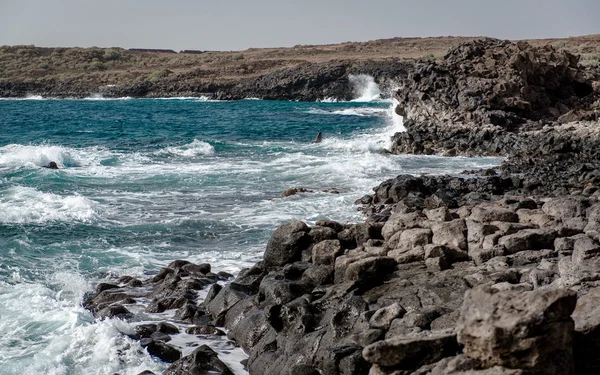 Rocky coast of Tenerife, Canary Islands. Spain — Stock Photo, Image