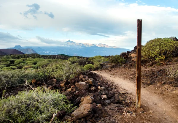 Teide yanardağı trekking rotası. Kanarya Adaları. İspanya — Stok fotoğraf