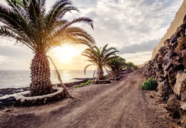 Footpath along the Atlantic Ocean near banana Plantation — Stock Photo, Image