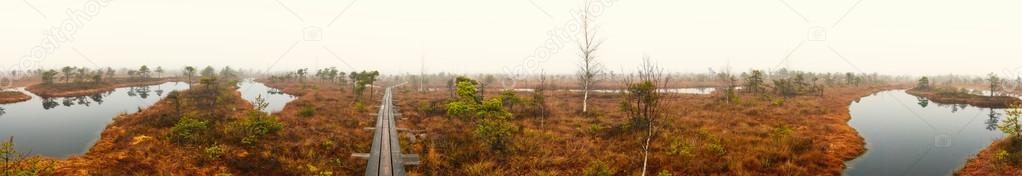 Panoramic view of Kemeri National Park. Latvia