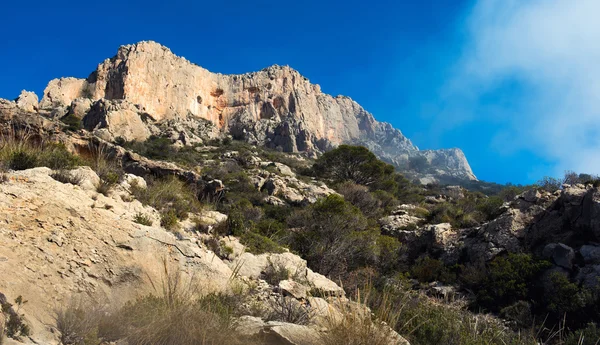 Alte montagne rocciose — Foto Stock