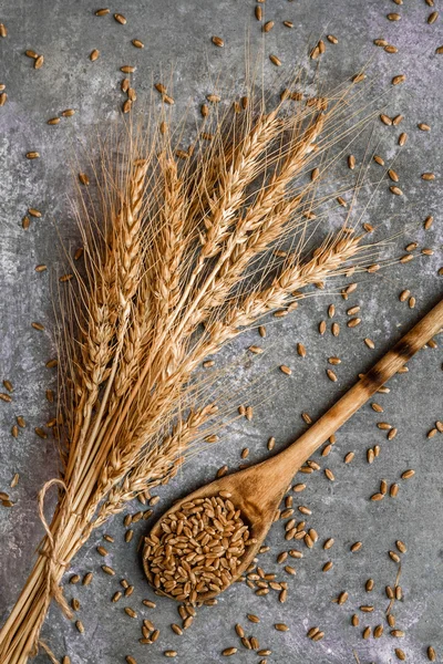 Orelhas de trigo e colher de grãos de trigo — Fotografia de Stock