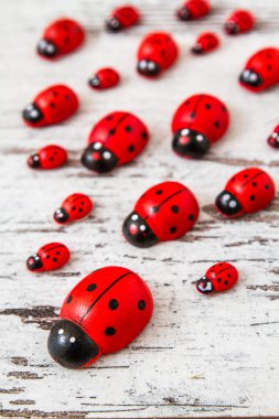 Ahşap Ladybirds