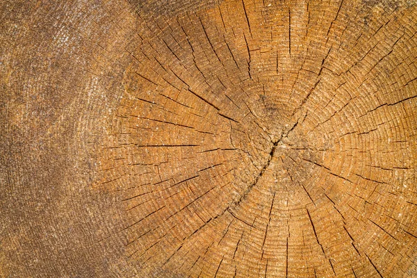 Gehakte brandhout logboeken Stockfoto