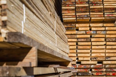 yığılmış ahşap çam kereste