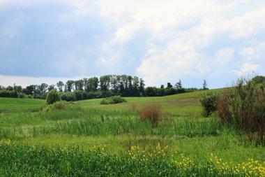 Bulutlar ile yeşil alan