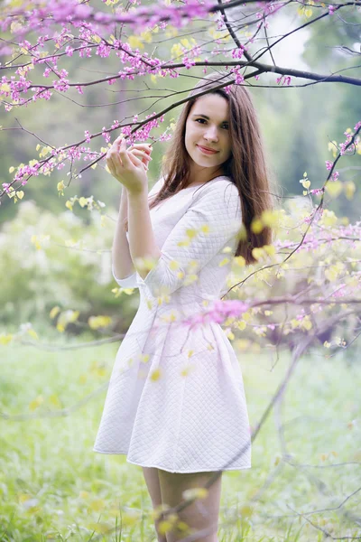 Mujer bajo un árbol — Foto de Stock