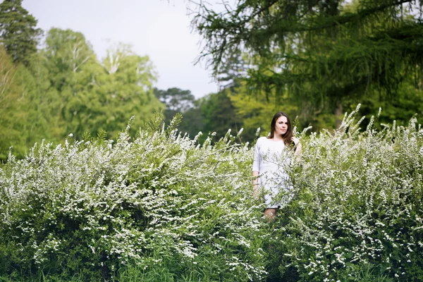 Menina em um arbusto de spirea — Fotografia de Stock