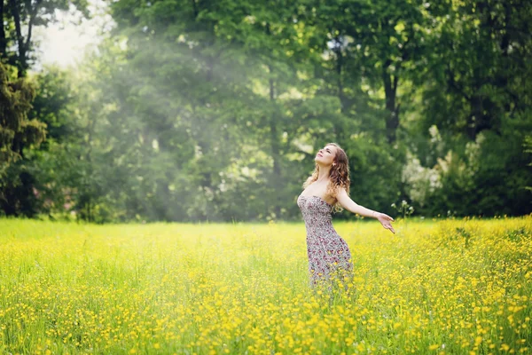 Grüßen die Morgendämmerung der Natur — Stockfoto