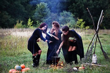 witches preparing a potion clipart