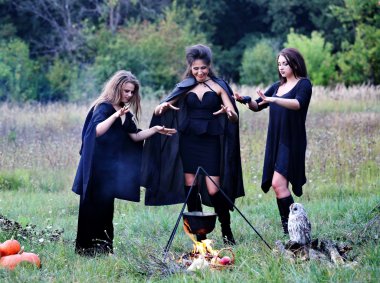 three witches conjure with potion clipart