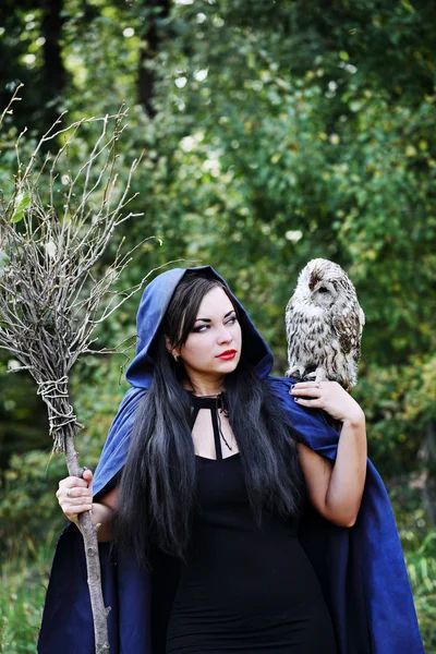 Bruxa com uma coruja a falar — Fotografia de Stock