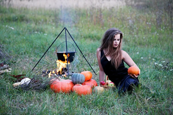 Witch with pumpkins in the meadow — Stock Photo, Image
