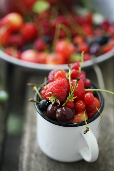 Garden organic berries — Stock Photo, Image