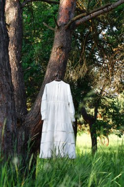 Ormandaki bir ağaçta asılı güzel bir klasik gelinlik.
