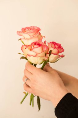 Bir kadının elinde üç pembe gül demeti