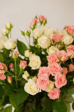 Küçük, narin pembe ve krema güllerinden bir buket