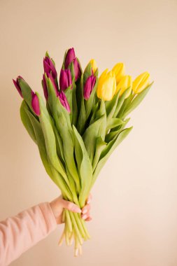 Bir kadının eli bej arka planda bir buket lale tutuyor.