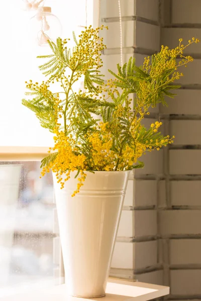 Ramo Florescente Mimosa Primavera Fragrante Vaso Branco Uma Janela Ensolarada — Fotografia de Stock