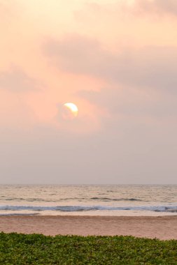Güzel pembe gün batımı, okyanus kenarında, yaz arkaplanı.