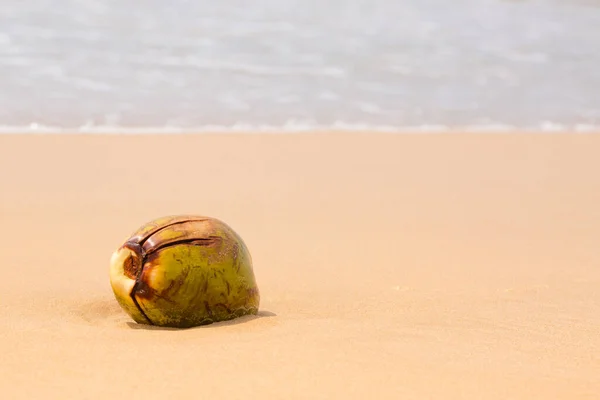 Big Coconut Sand Ocean Summer Background — Stock Photo, Image