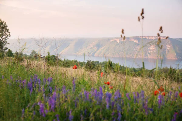 Hermoso Paisaje Verano Por Mañana Bakota Orillas Del Dniéster Ucrania —  Fotos de Stock