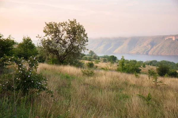 Hermoso Paisaje Verano Por Mañana Bakota Orillas Del Dniéster Ucrania —  Fotos de Stock