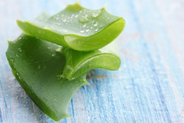 Aloe mavi tahta üzerinde