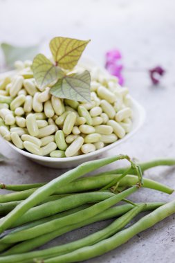taze fasulye, bakla