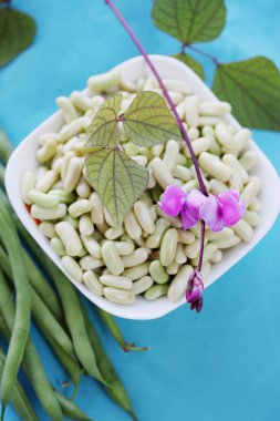 fasulye görünümü top