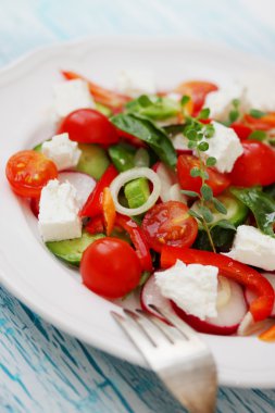 domatesli ve peynirli salata