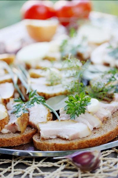 Tartine di lardo ucraino — Foto Stock