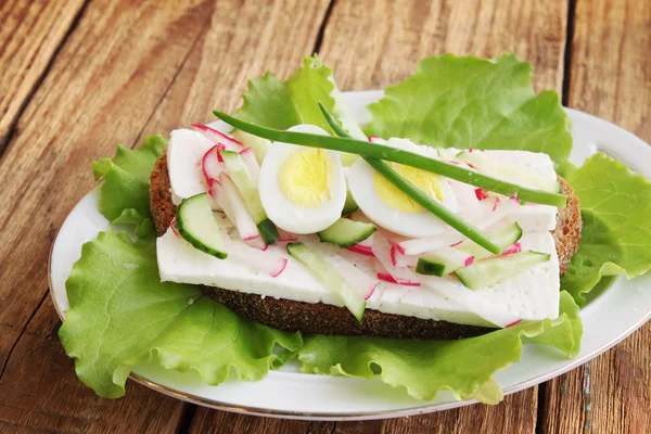 신선한 야채 샌드위치 — 스톡 사진