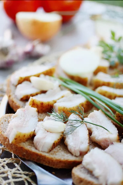 Canapes of lard — Stock Image Canapes of lard Stock Image