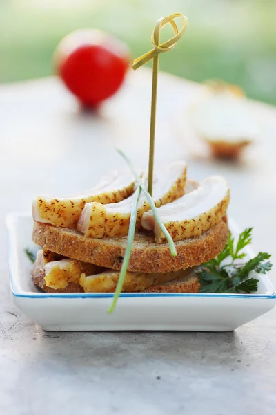 Ukrainian salo with onion — Stock Image Ukrainian salo with onion Stock Image