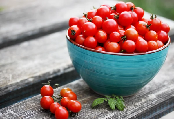 Tomates em uma tigela — Fotografia de Stock