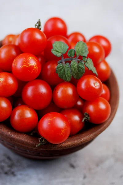 Домашнє помідори — стокове фото