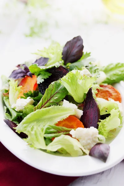 Salade au fromage et légumes — Photo