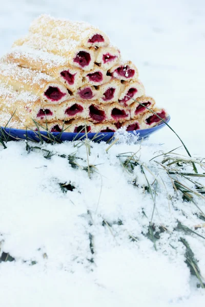 Tatlı karla kaplı çimenlerin üzerinde — Stok fotoğraf