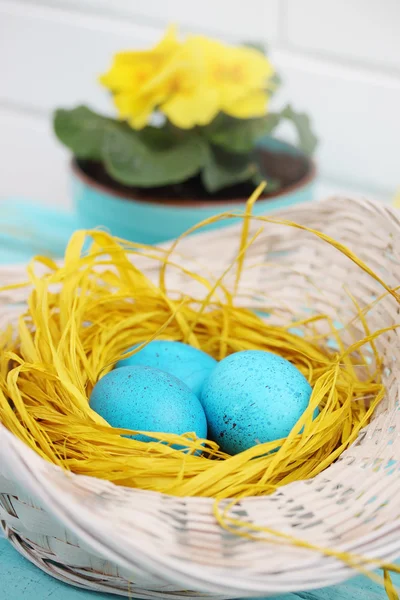 Turquoise eggs — Stock Photo, Image