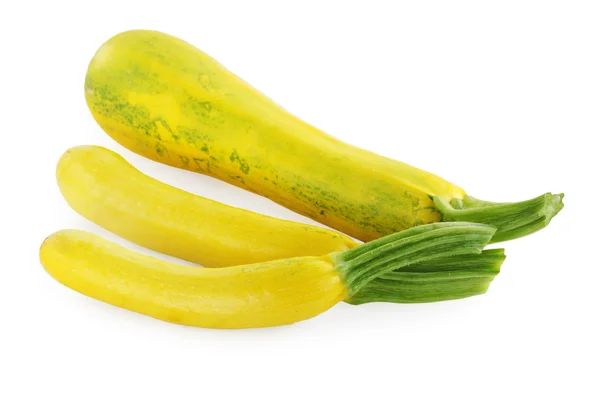Gelbe Zucchini — Stockfoto