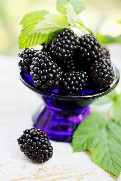 Saftige Brombeeren — Stockfoto