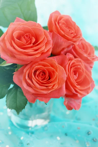 Orange roses — Stock Photo, Image