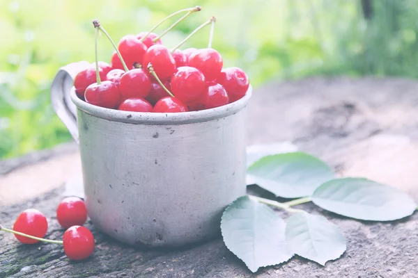 Cerejas frescas — Fotografia de Stock