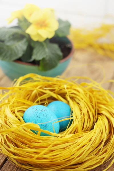 Ninho com ovos — Fotografia de Stock