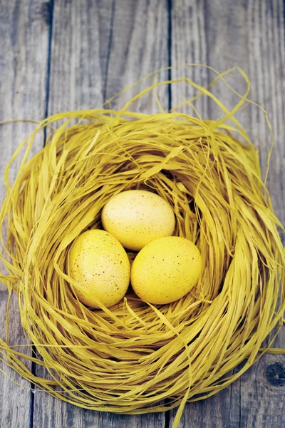 Nest with eggs, top view,tinted — Stock Photo, Image
